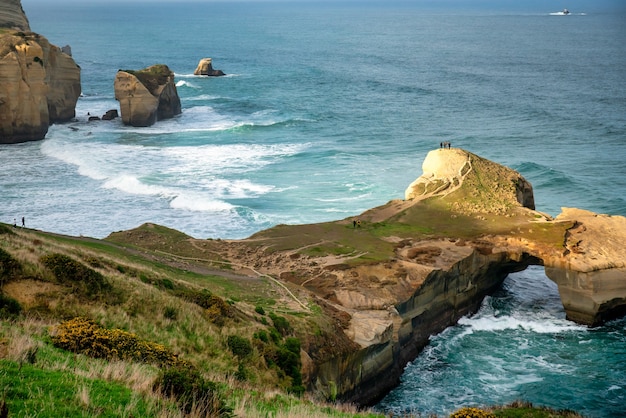 Tunnelstrandlandschap aan de kust van Dunedin