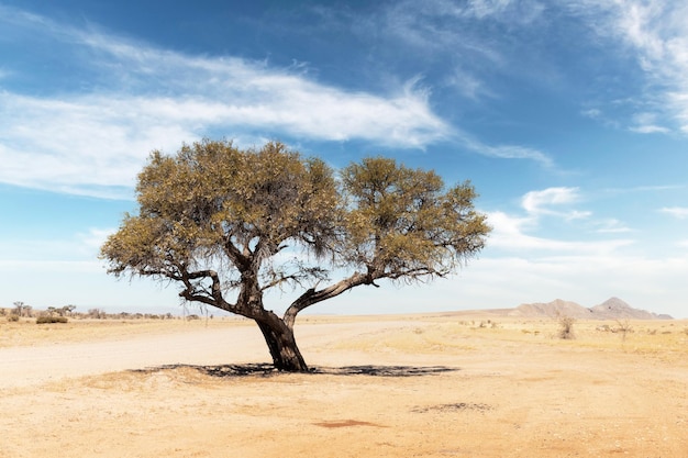 Верхний пейзаж Намибии Африки