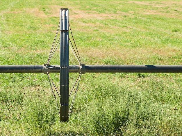 Turf farm Irrigation system on the farm field.