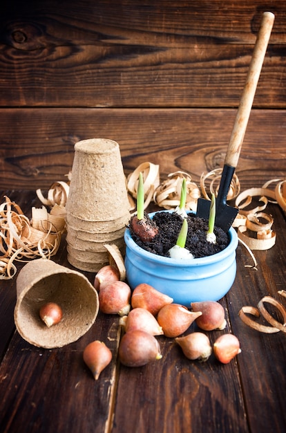 Turfpotten, waterkan en tulpenbollen