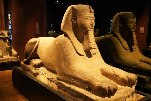 TURIJN, ITALI - AUGUSTUS 19, 2021: Egyptisch sfinxstandbeeld in het Egyptisch Museum van Turijn, Italië