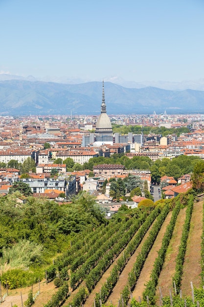 Turin Italy panorama with Mole Antonelliana monument wineyard and Alps mountains