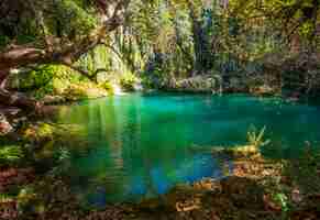 Photo turkey antalya kursunlu waterfall landscape