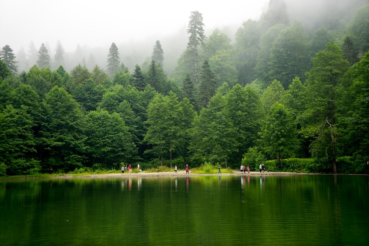 Photo turkey artvin 20160715 흑해 동부의 karagol 검은 호수