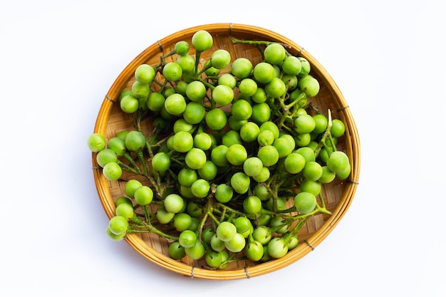 Turkey berry isolated on white background