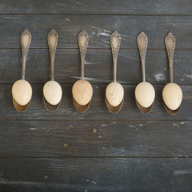 Turkey eggs on vintage metallic spoons rough dyed wooden background eggs for easter