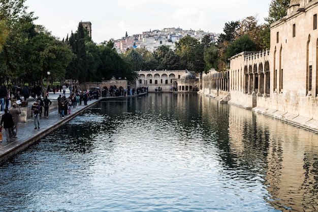 Photo turkey mosque religion pool