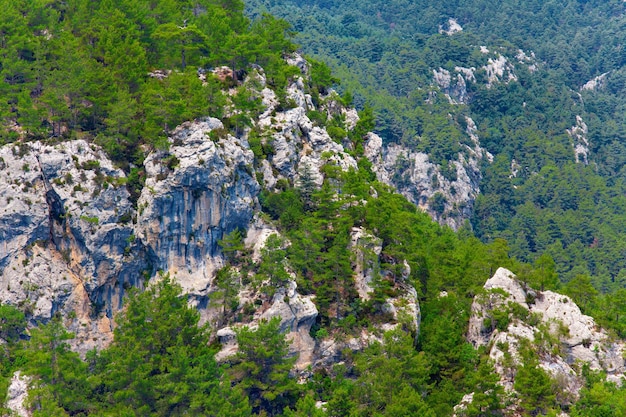 トルコの緑のタタリ山の空中風景ビュー
