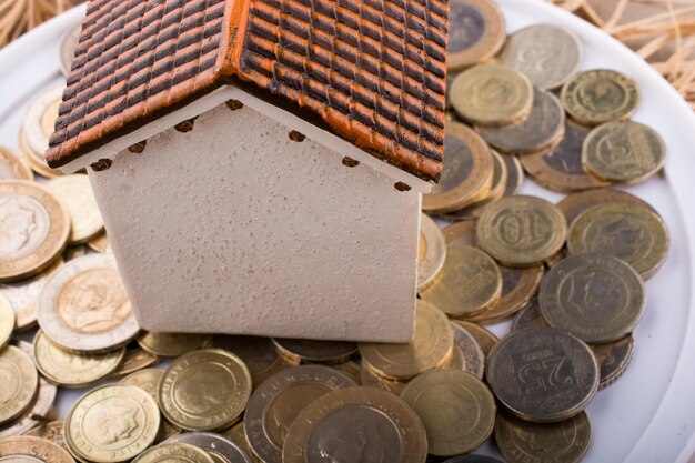 Turkish Lira coins by the side of a model house