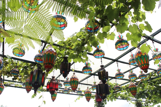 Photo turkish mosaic lamp traditional oriental lamp hung with plants at the farm house