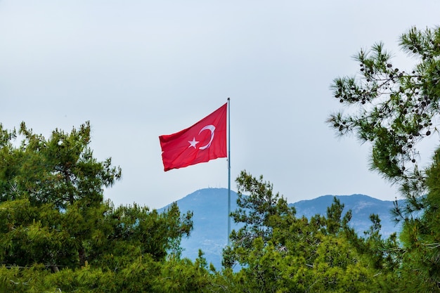 Alanya의 산 배경에 있는 다른 침엽수 나무 사이에 있는 터키 국기.