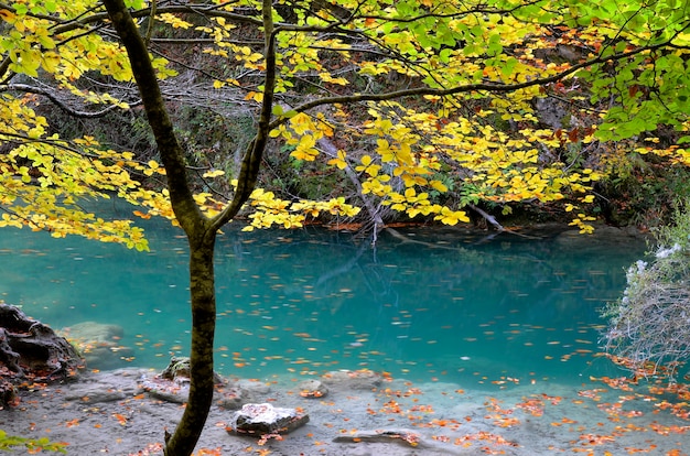 Turkoois groen water in het natuurreservaat van de rivier de Urederra. Navarra. Spanje