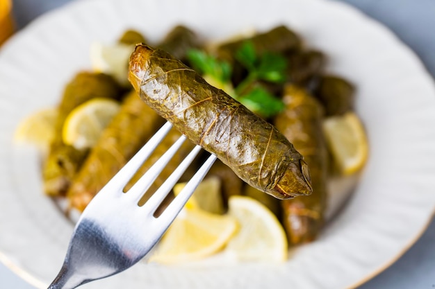 Foto turkse gerechten; gevulde bladeren (yaprak sarma dolma)