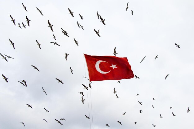 Turkse nationale vlag hangt op een paal in de open lucht