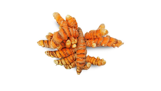 Turmeric Curcuma longa Linn rhizome root isolated on white background