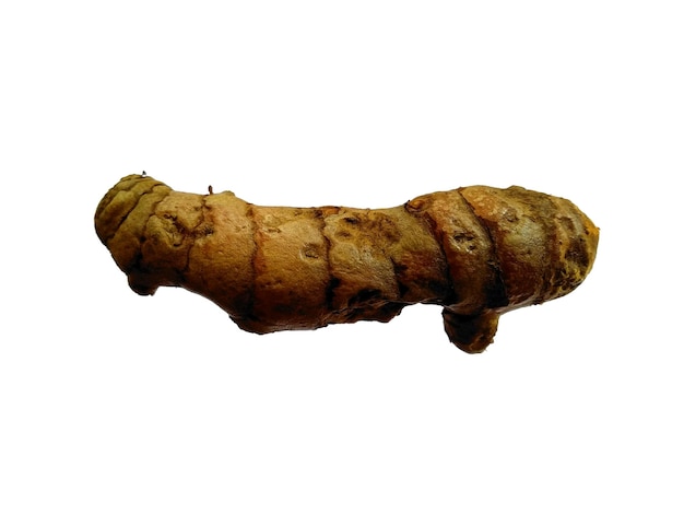 Turmeric or Curcuma Longa on white background