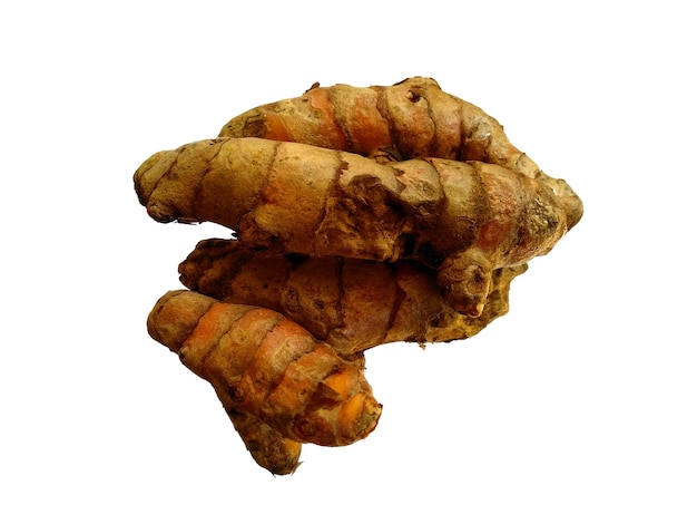 Turmeric or Curcuma Longa on white background