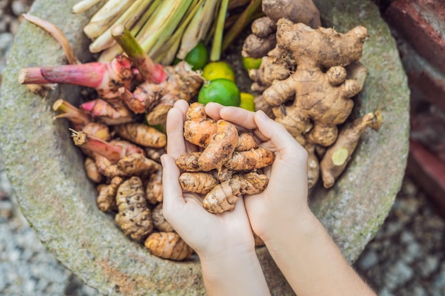 turmeric fruits in female hands - curcuma. Flat lay. Food concept.