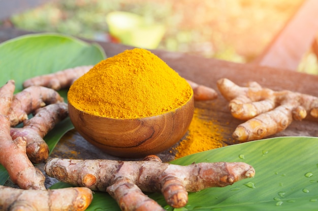 Turmeric powder and fresh turmeric in wood bowls on wooden table. Herbal