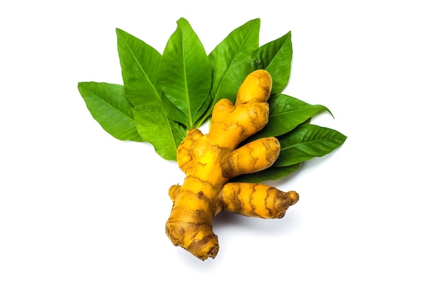 Turmeric root and leaves