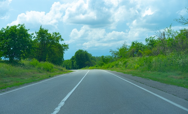 Turning the road along growing plants