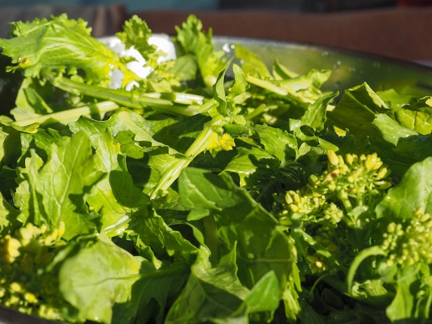 Turnip greens leaves