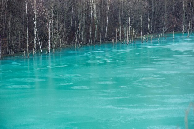 Turquoise afvalwater van een kopermijn die het milieu vervuilt Geamana decantatiemeer Rosia Montana Roemenië