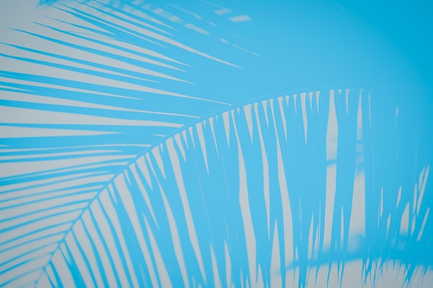 Turquoise blue background with palm branch pattern copy space