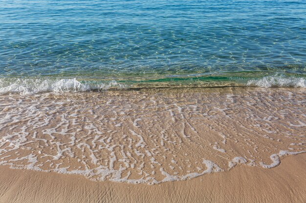 Turquoise foamy wave on a golden sandy shore