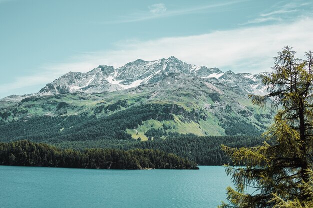 Turquoise lake coast rocks grass and forest in Swiss Alps mountains