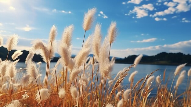 Turquoise sky with fluffy clouds set against reeds and trees A natural setting room for copying GENERATE AI