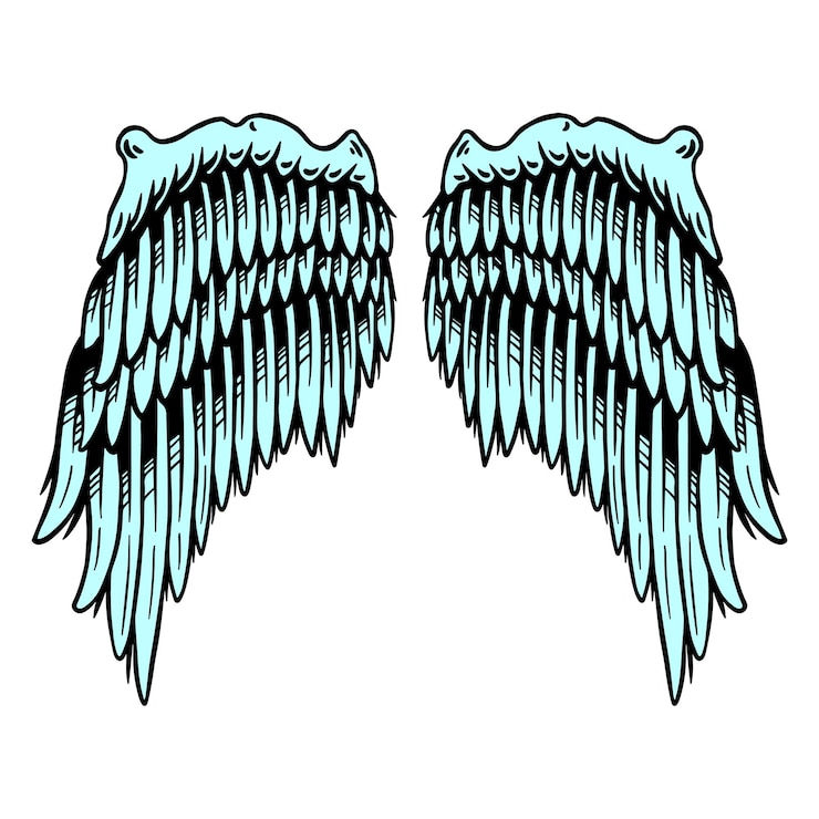 Foto turquoise vleugels sticker overlay ontwerpelement