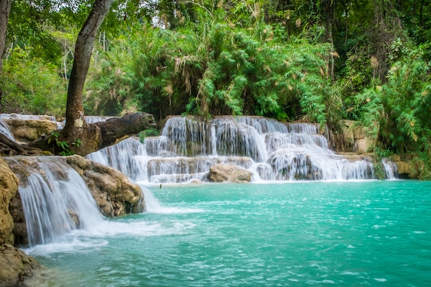 Turquoise water of Kuang Si waterfall 