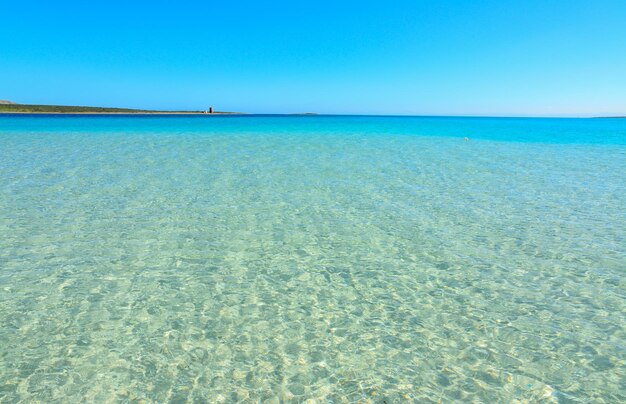 Turquoise water in La Pelosa beach Italy