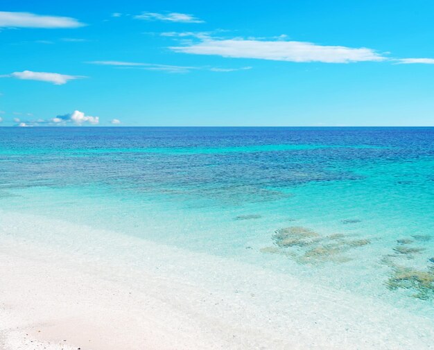 Turquoise water in sardinia