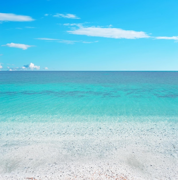 Turquoise water on a sunny day in Stintino