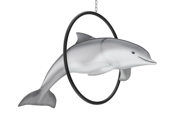 Tursiops Truncatus Oceaan of zee tuimelaar springen door Ring op een witte achtergrond. 3D-rendering