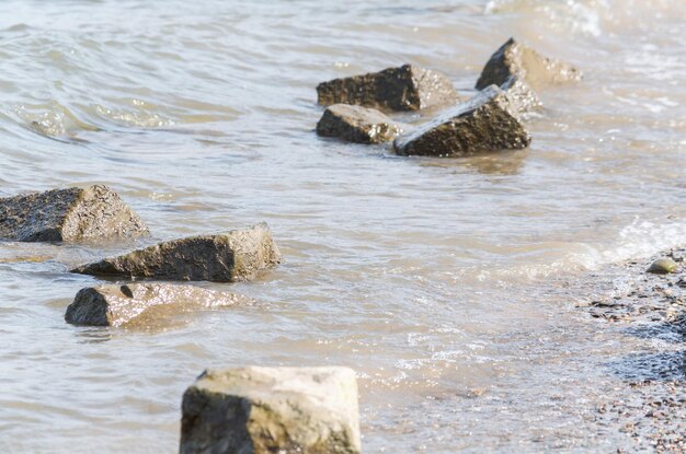 写真 海の岩の上にあるカメ