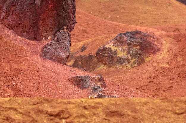 Turtle on rock in desert against sky