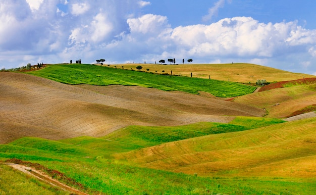 Foto paesaggi toscani. colline dorate dell'orcia.