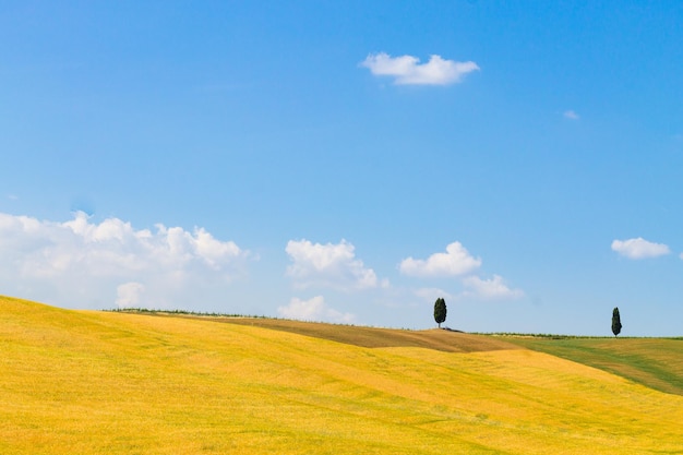 Tuscany hills landscape, italy. rural italian panorama