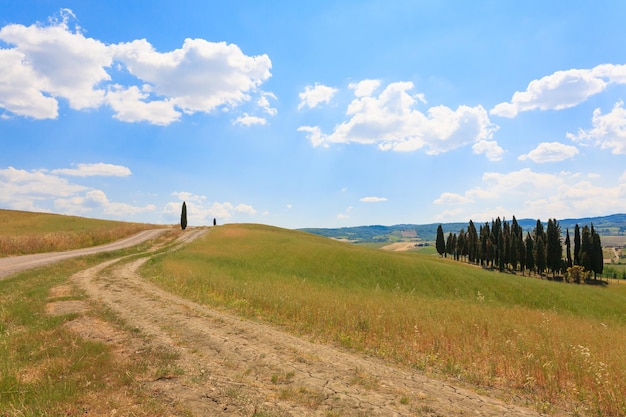 Tuscany hills landscape, Italy. Rural italian panorama.