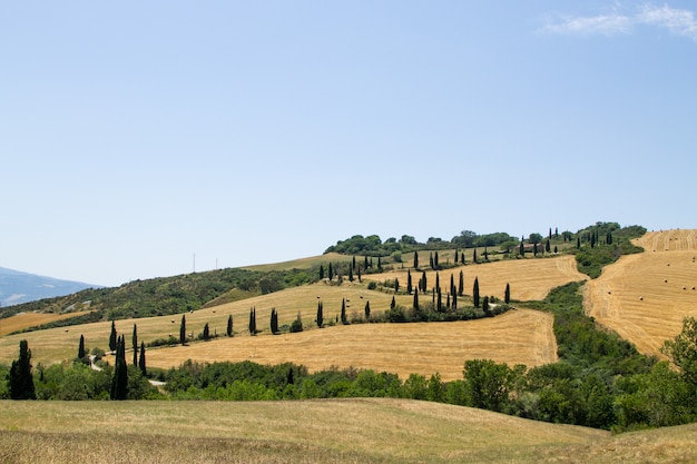 トスカーナの丘のパノラマ夏の景色、イタリアの風景