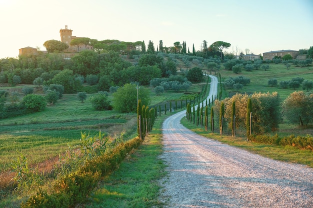 Premium Photo  Tuscany italy august 2020 an enchanting landscape in 