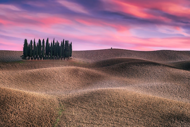 Tuscany landscape with cypress and earth waves at sunset mysterious nature landscape background