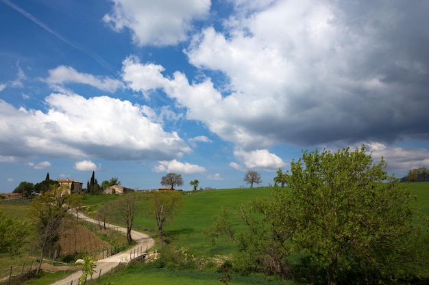 Tuscany landscape with old house and cypresses at sunny day