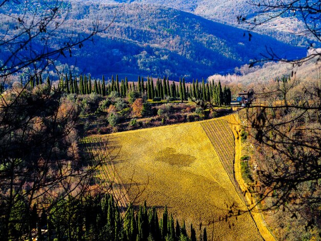 Foto paesaggio toscano