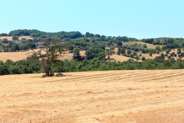 Tuscany summer countryside Italy