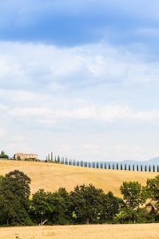 Toscana, zona della val d'orcia. meravigliosa campagna in una giornata di sole, poco prima dell'arrivo della pioggia