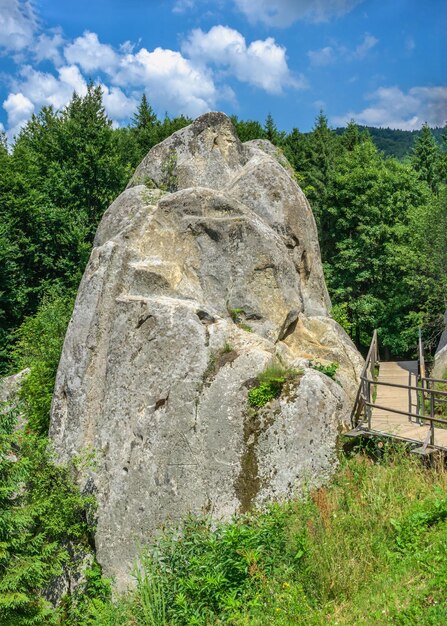 Photo tustan, ukraine 09.07.2021. old russian cliff-side defensive complex in tustan, ukraine, on a summer day